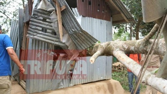 Tripura Govt announced compensation of Rs. 1 lakh to storm affected households Tripura Govt announced compensation of Rs. 1 lakh to storm affected households